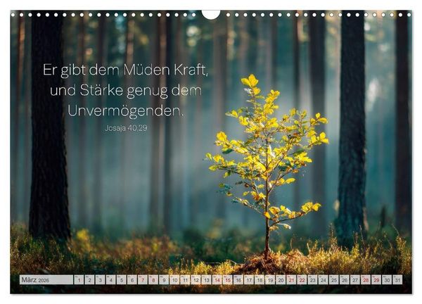 Produktbild: Psalmen und Bibelverse - Himmlische Botschaften (Wandkalender 2026 DIN A3 quer), CALVENDO Monatskalender