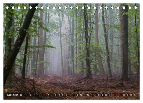 Produktbild: Feng Shui Farben - Element: Holz (Tischkalender 2026 DIN A5 quer), CALVENDO Monatskalender