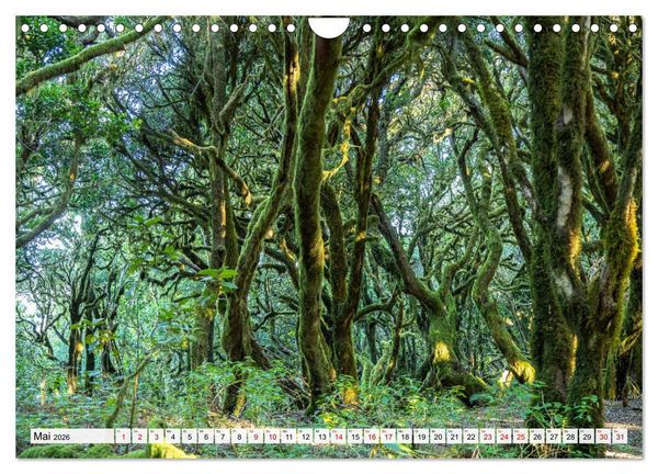 Produktbild: Kanarische Inseln: La Gomera (Wandkalender 2026 DIN A4 quer), CALVENDO Monatskalender