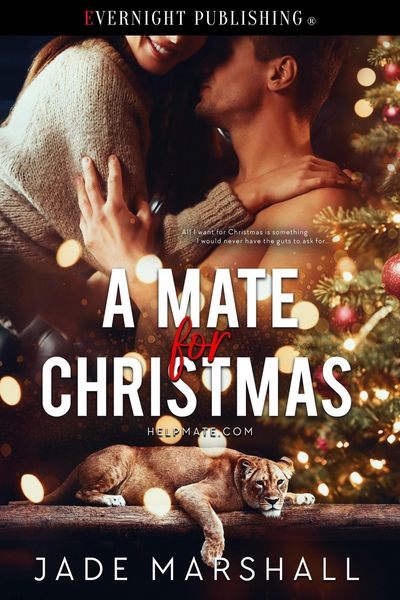 Produktbild: A Mate for Christmas (HelpMate.com, #1)