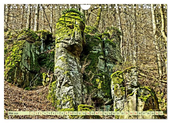 Produktbild: Verwunschene Waldtr&auml;ume: Ein Kalender voller Magie (Wandkalender 2026 DIN A4 quer), CALVENDO Monatskalender