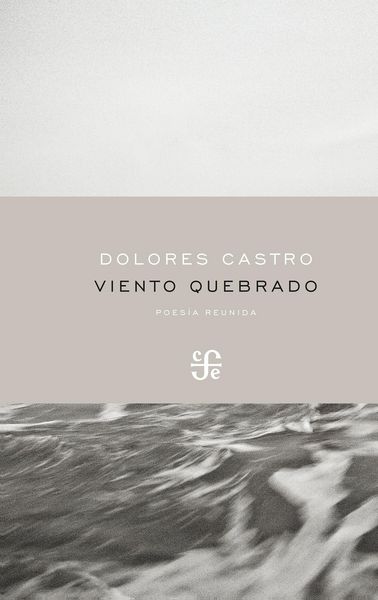 Produktbild: Viento quebrado