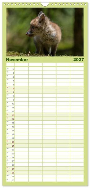 Produktbild: Familienplaner 2027 - Bei den Jungf&uuml;chsen mit 5 Spalten (Wandkalender, 21 x 45 cm) CALVENDO