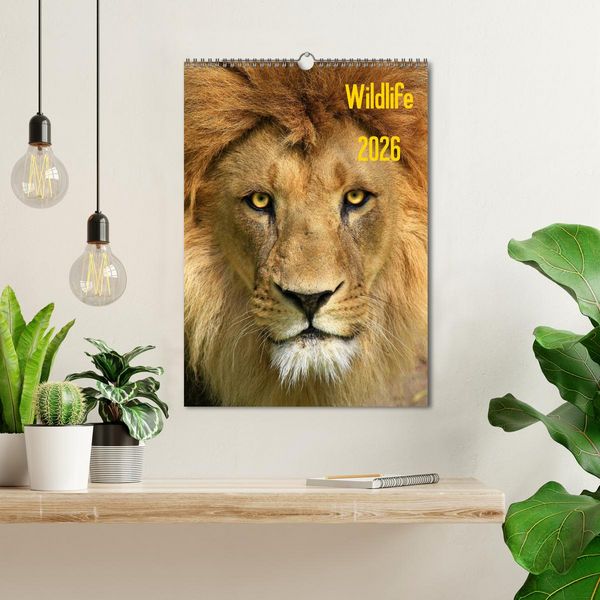 Produktbild: Wildlife 2026 (Wandkalender 2026 DIN A3 hoch), CALVENDO Monatskalender