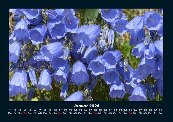 Produktbild: Blumenkalender 2026 Fotokalender DIN A4