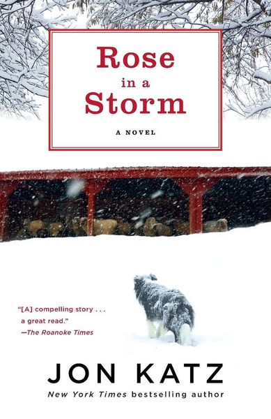 Produktbild: Rose in a Storm