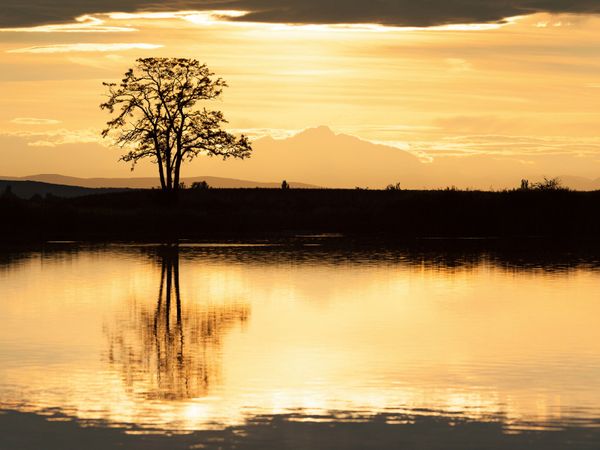 Produktbild: CALVENDO Puzzle Abendstimmung 1000 Teile Lege-Gr&ouml;&szlig;e 64 x 48 cm Foto-Puzzle Bild von Johann Sch&ouml;rkhuber