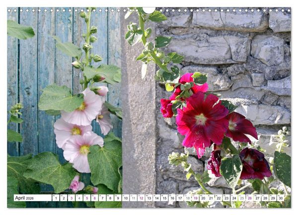 Produktbild: &Icirc;le de R&eacute; (Wandkalender 2026 DIN A3 quer), CALVENDO Monatskalender