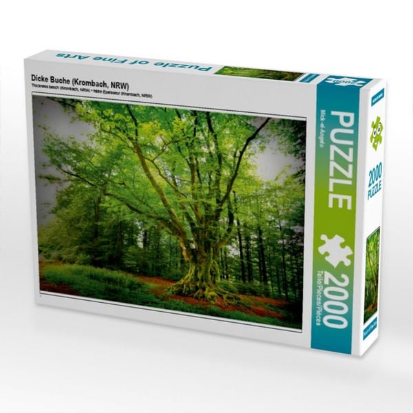 CALVENDO Puzzle Dicke Buche (Krombach, NRW) | 2000 Teile Lege-Größe 90x67cm Foto-Puzzle für glückliche Stunden