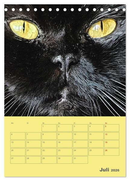 Produktbild: Cat Faces - Charakterstarke Katzengesichter ganz nah (Tischkalender 2026 DIN A5 hoch), CALVENDO Monatskalender