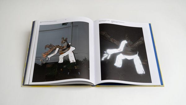Produktbild: Stefan Reiterer: Inflection Point