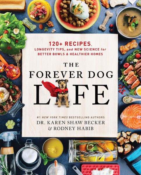 Produktbild: The Forever Dog Life