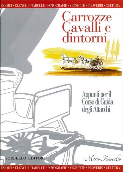 Produktbild: Carrozze, cavalli e dintorni