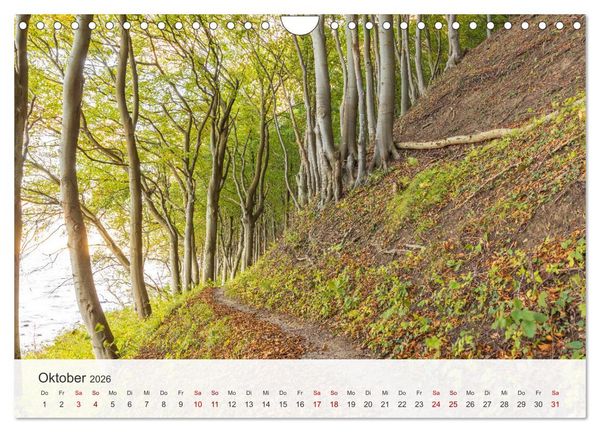 Produktbild: Nat&uuml;rliches R&uuml;gen und Hiddensee (Wandkalender 2026 DIN A4 quer), CALVENDO Monatskalender