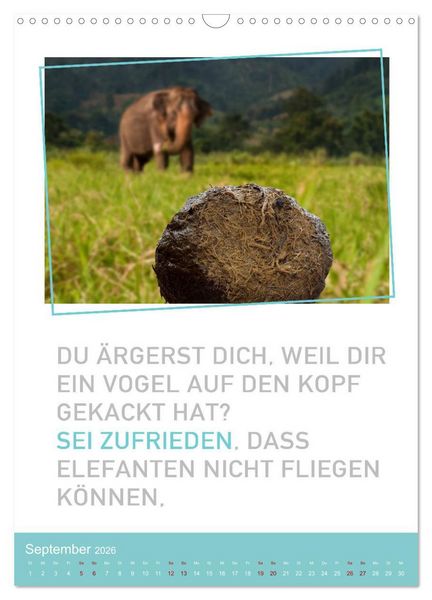 Produktbild: Tierisch bekloppt! (Wandkalender 2026 DIN A3 hoch), CALVENDO Monatskalender