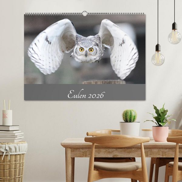 Produktbild: Eulen 2026 (Wandkalender 2026 DIN A2 quer), CALVENDO Monatskalender