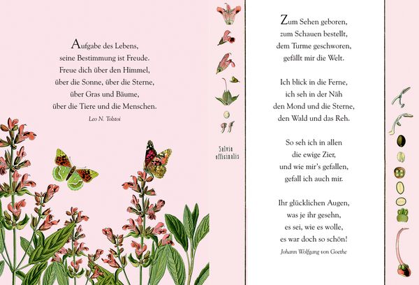 Produktbild: Sch&ouml;ne Gr&uuml;&szlig;e: Gesund ist, was das Herz erfreut (AUGUSTINA)