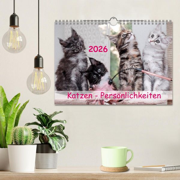 Produktbild: Katzen Pers&ouml;nlichkeiten 2026 (Wandkalender 2026 DIN A4 quer), CALVENDO Monatskalender