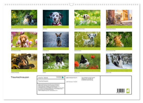 Produktbild: Traumschnauzen (Wandkalender 2026 DIN A2 quer), CALVENDO Monatskalender