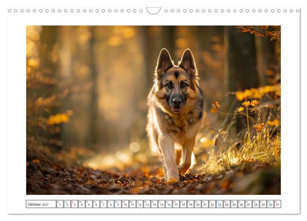Produktbild: Treue, die bleibt. Emotionale Augenblicke mit Sch&auml;ferhunden. (Wandkalender 2027 DIN A3 quer), CALVENDO Monatskalender