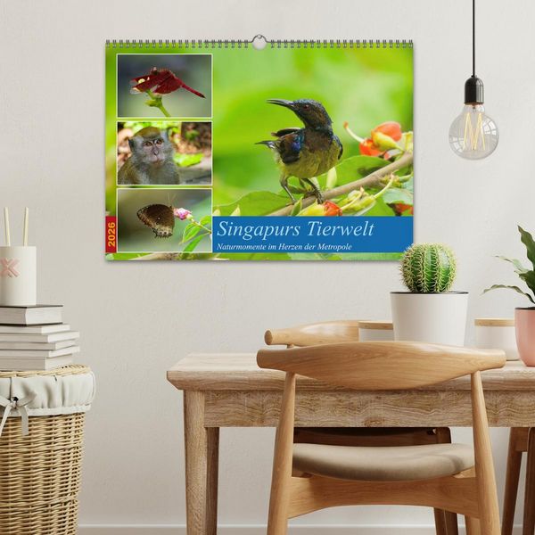 Produktbild: Singapurs Tierwelt (Wandkalender 2026 DIN A3 quer), CALVENDO Monatskalender