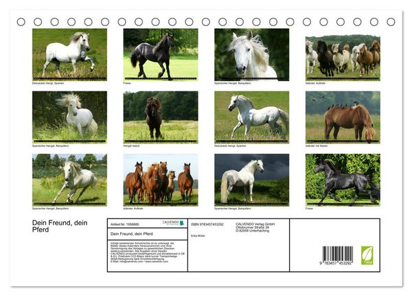 Produktbild: Dein Freund, dein Pferd (Tischkalender 2026 DIN A5 quer), CALVENDO Monatskalender