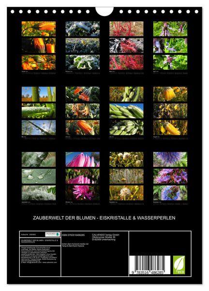 Produktbild: ZAUBERWELT DER BLUMEN - EISKRISTALLE & WASSERPERLEN (Wandkalender 2026 DIN A4 hoch), CALVENDO Monatskalender