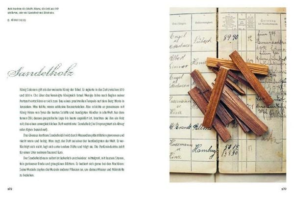 Produktbild: Der Garten der Bibel