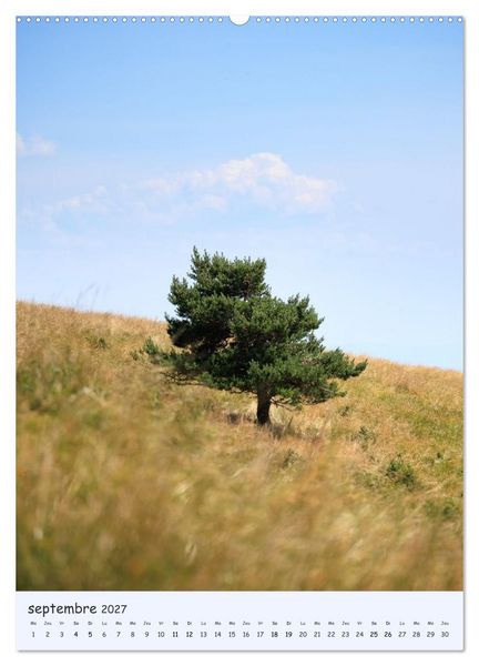 Produktbild: Arbres solitaires (Calendrier mural 2027 DIN A2 horizontal), CALVENDO calendrier mensuel