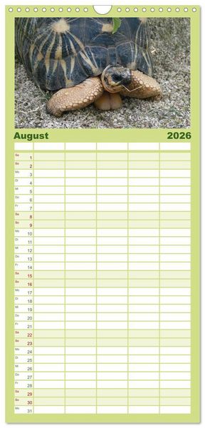 Produktbild: Familienplaner 2026 - Landschildkr&ouml;ten mit 5 Spalten (Wandkalender, 21 x 45 cm) CALVENDO