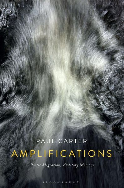 Produktbild: Amplifications