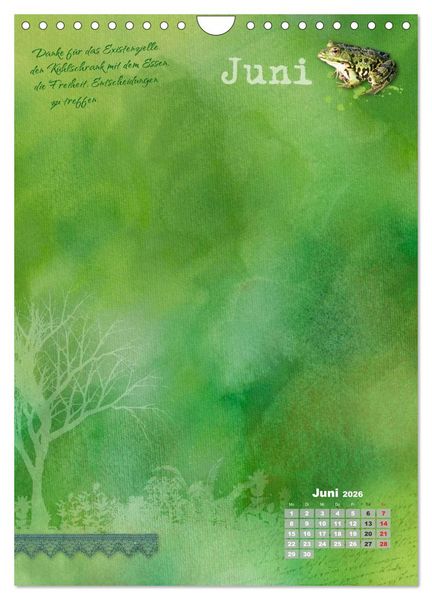 Produktbild: Jahr der Dankbarkeit &ndash; Scrapbooking-Kalender (Wandkalender 2026 DIN A4 hoch), CALVENDO Monatskalender