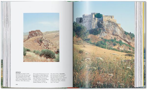 Produktbild: Fr&eacute;d&eacute;ric Chaubin. Stone Age. 45th Ed.