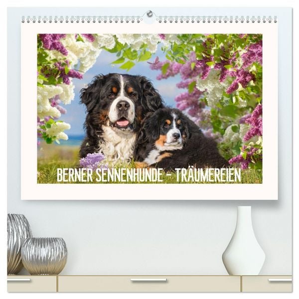 Produktbild: Berner Sennenhunde - Tr&auml;umereien (hochwertiger Premium Wandkalender 2026 DIN A2 quer), Kunstdruck in Hochglanz