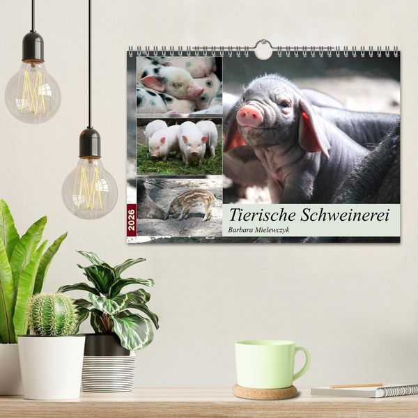 Produktbild: Tierische Schweinerei (Wandkalender 2026 DIN A4 quer), CALVENDO Monatskalender