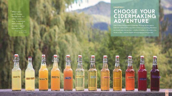 Produktbild: The Big Book of Cidermaking