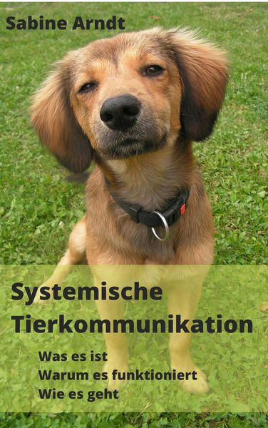 Produktbild: Systemische Tierkommunikation