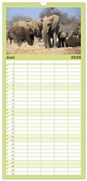Produktbild: Familienplaner 2026 - Afrika - im Reich der Elefanten mit 5 Spalten (Wandkalender, 21 x 45 cm) CALVENDO
