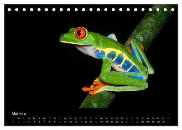 Produktbild: Costa Rica - Faszination Fr&ouml;sche (Tischkalender 2026 DIN A5 quer), CALVENDO Monatskalender