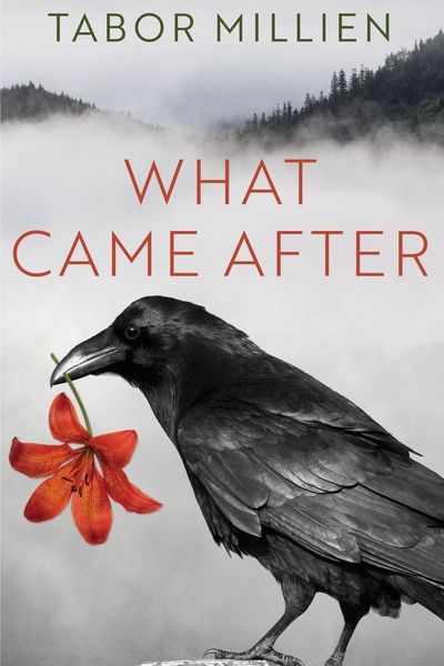 Produktbild: What Came After