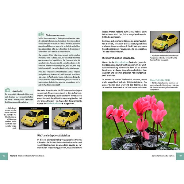 Produktbild: Nikon Coolpix P1100 - Das umfangreiche Praxisbuch zu Ihrer Kamera