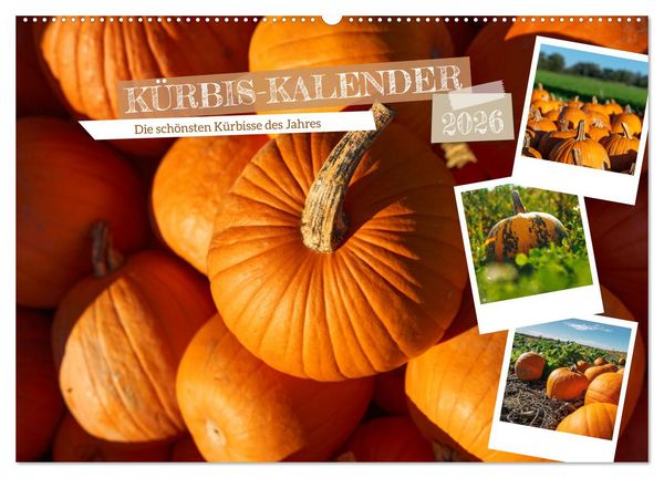 KÜRBIS KALENDER - Die schönsten Kürbisse des Jahres (Wandkalender 2026 DIN A2 quer), CALVENDO Monatskalender