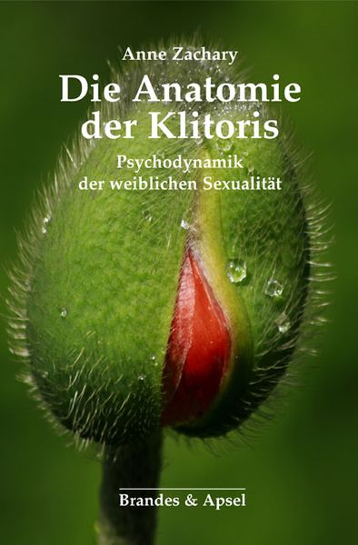 Die Anatomie der Klitoris, Taschenbuch von Anne Zachary, Brandes & Apsel, 9783955582432