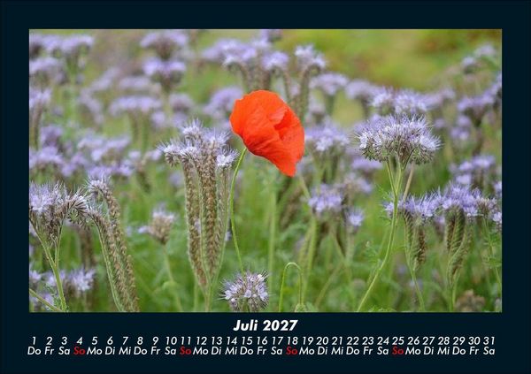Produktbild: Blumentr&auml;ume 2027 Fotokalender DIN A5
