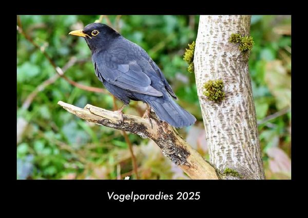 Produktbild: Vogelparadies 2025 Fotokalender DIN A3