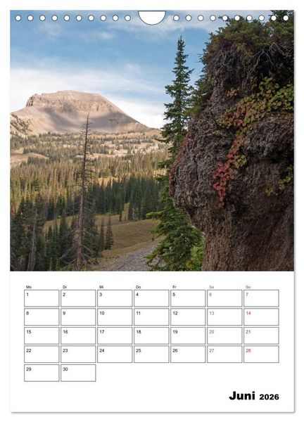 Produktbild: Yellowstone und Grand Tetons Nationalparks (Wandkalender 2026 DIN A4 hoch), CALVENDO Monatskalender