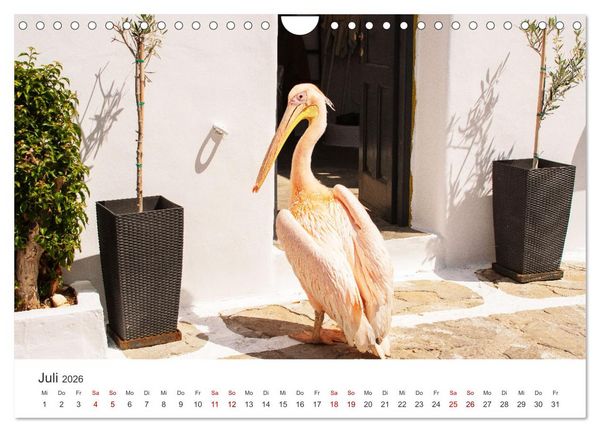 Produktbild: Stadt Mykonos - Impressionen (Wandkalender 2026 DIN A4 quer), CALVENDO Monatskalender