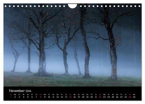 Produktbild: Faszination Morgenlicht (Wandkalender 2026 DIN A4 quer), CALVENDO Monatskalender