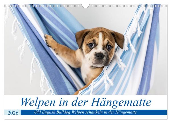 Produktbild: Welpen in der H&auml;ngematte (Wandkalender 2026 DIN A3 quer), CALVENDO Monatskalender
