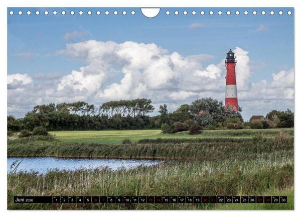 Produktbild: Nordseeinsel Pellworm 2026 (Wandkalender 2026 DIN A4 quer), CALVENDO Monatskalender
